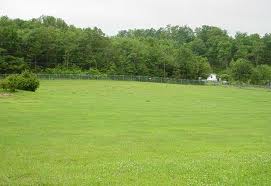Greenfield